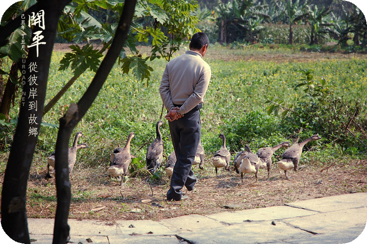 kaiping2010_005.jpg