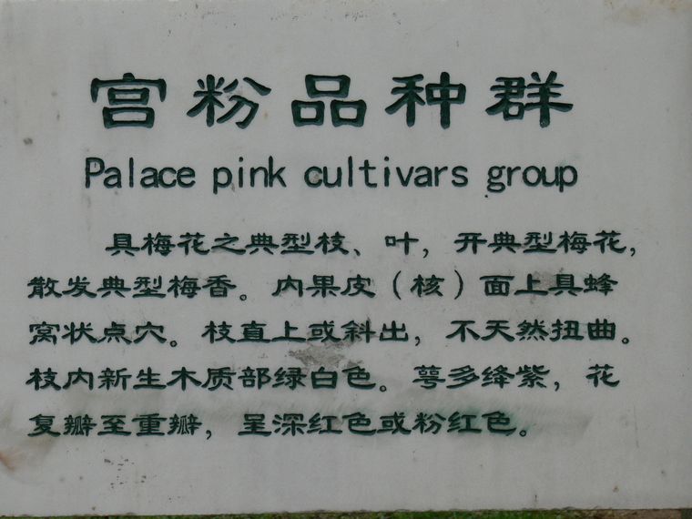 p1080800.jpg