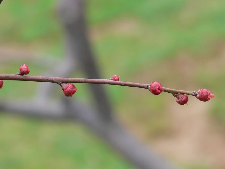 p1080801.jpg