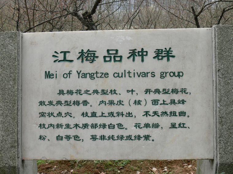 p1080805.jpg