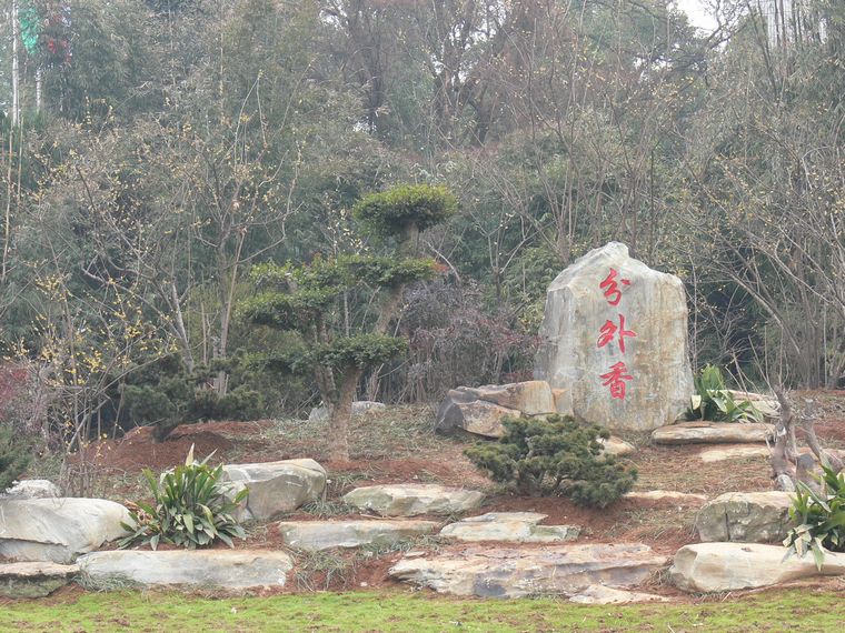 p1080777.jpg