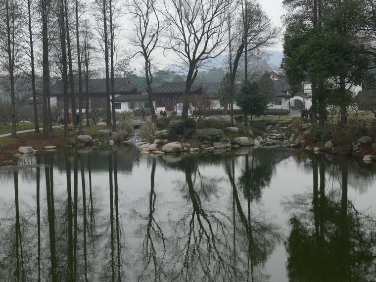 p1080785.jpg