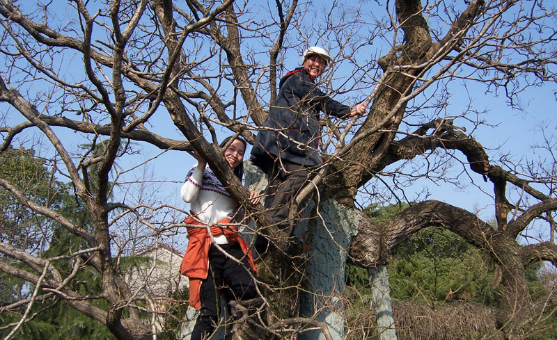 20100220Źկׯ 208.jpg