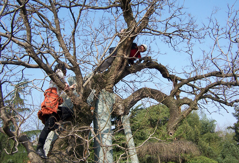 20100220Źկׯ 215.jpg