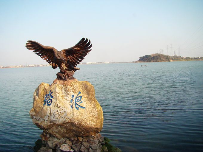 neo_img_dsc06957.jpg