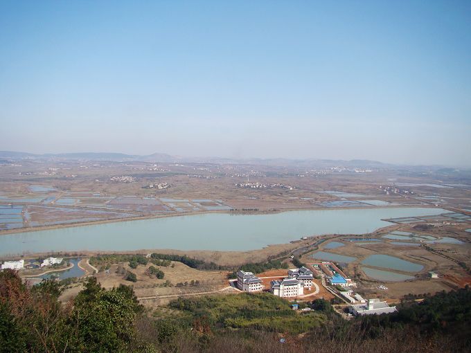 neo_img_dsc06452.jpg