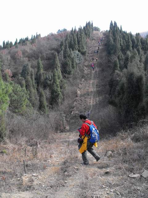 ת dscf0223.jpg