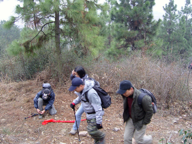  snc10075.jpg