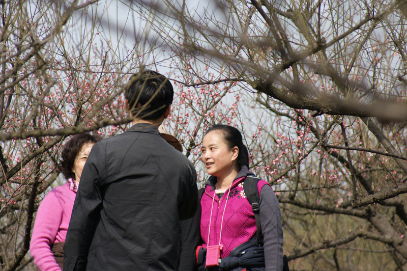 dsc04793.jpg