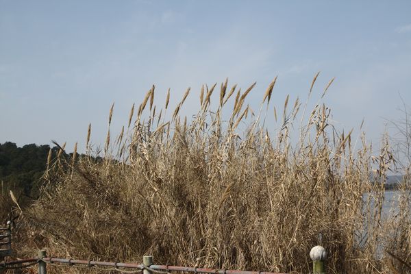 img_0992.jpg