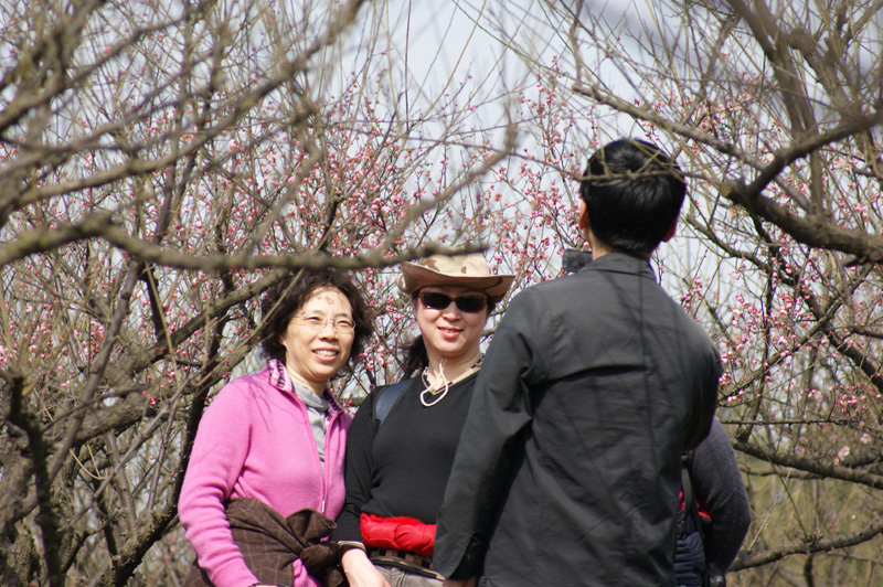 dsc04795.jpg