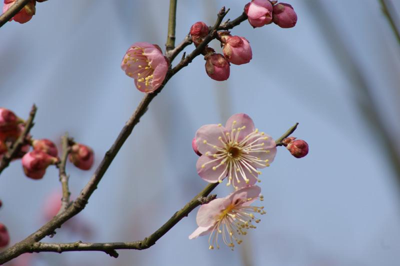 dsc04802.jpg