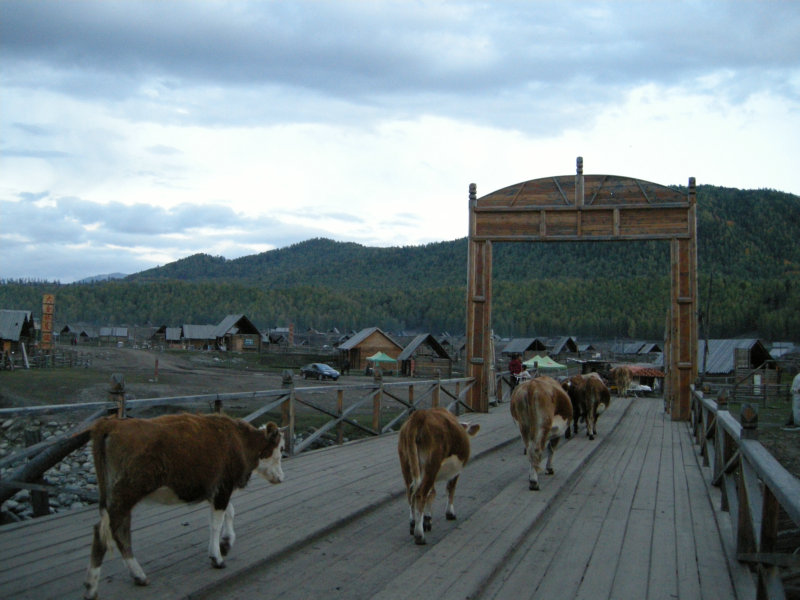 dscn2586.jpg