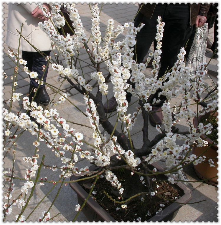 dscn7360.jpg