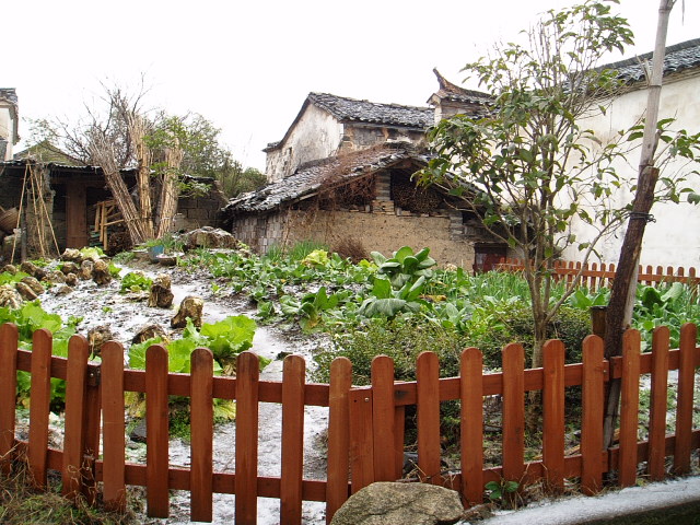 p1010860.jpg