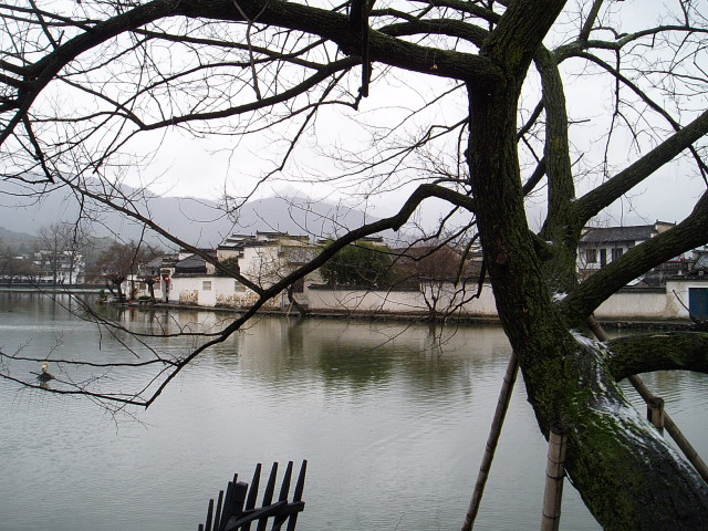 p1010853.jpg