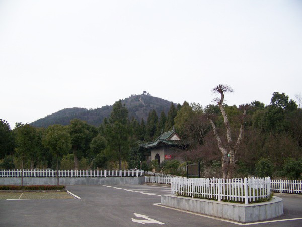 100_3043.jpg