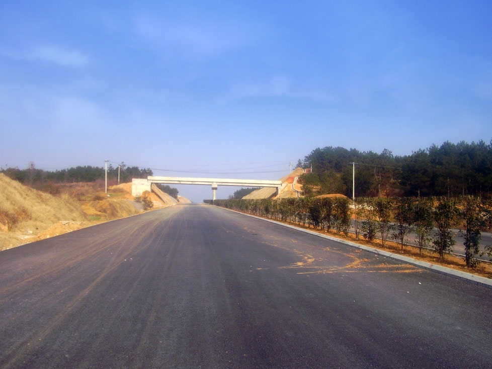 l10.jpg