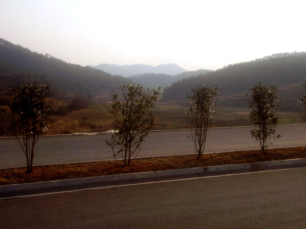 l11.jpg