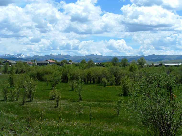 dscf0002.jpg