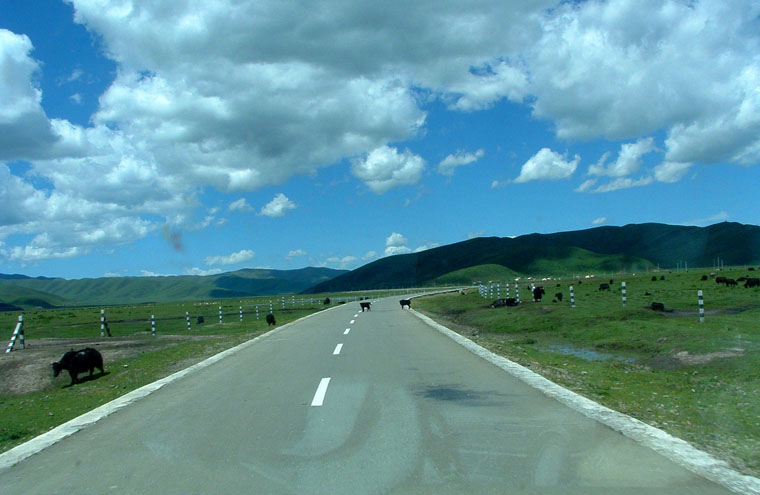 dscf0006.jpg