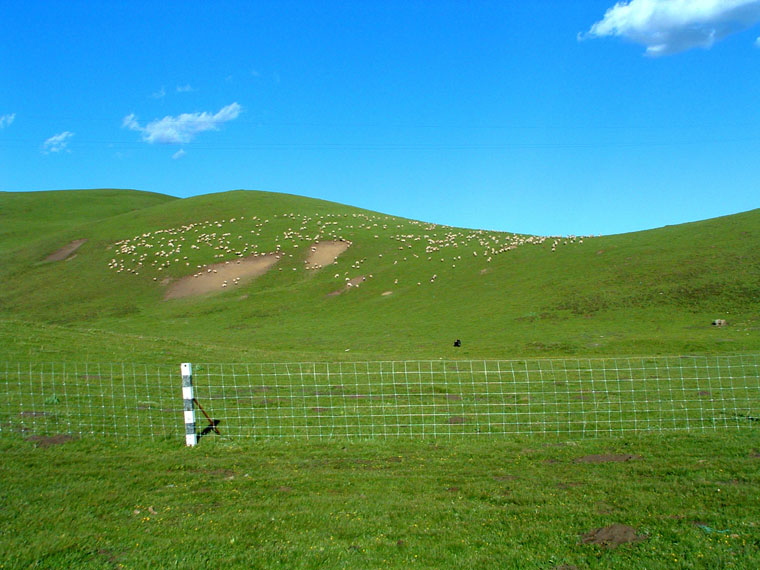 dscf0065.jpg