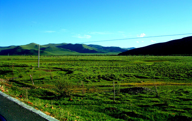 dscf0072.jpg