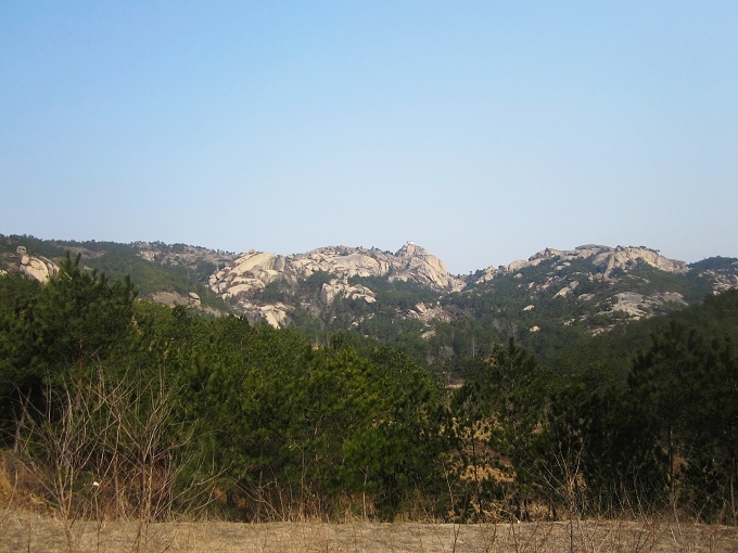 img_1739.jpg