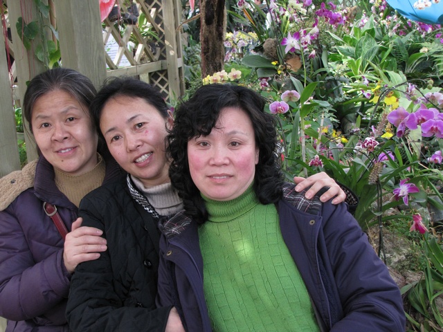img_1186_Ӱ_1.jpg