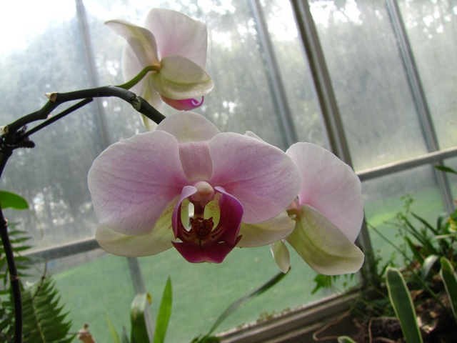img_1179_Ӱ_1.jpg