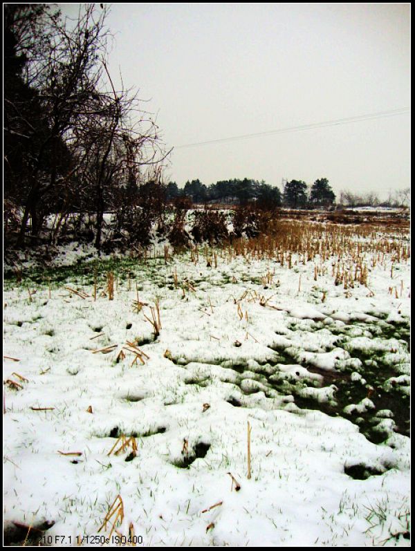 dsc02884-1.jpg