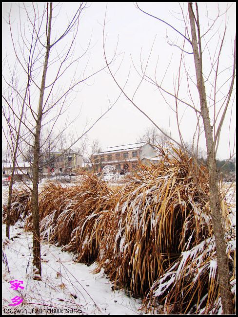 dsc02896-1.jpg