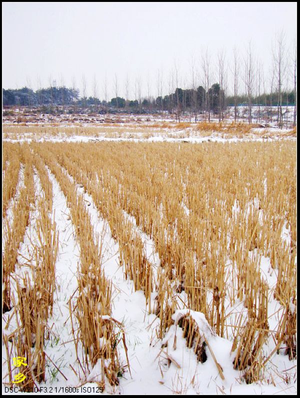 dsc02906-1.jpg