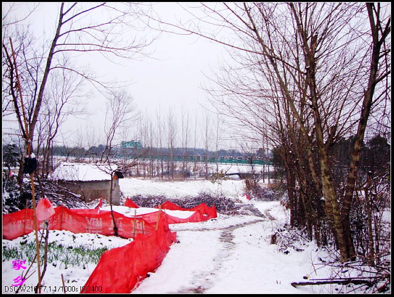 dsc02911-1.jpg