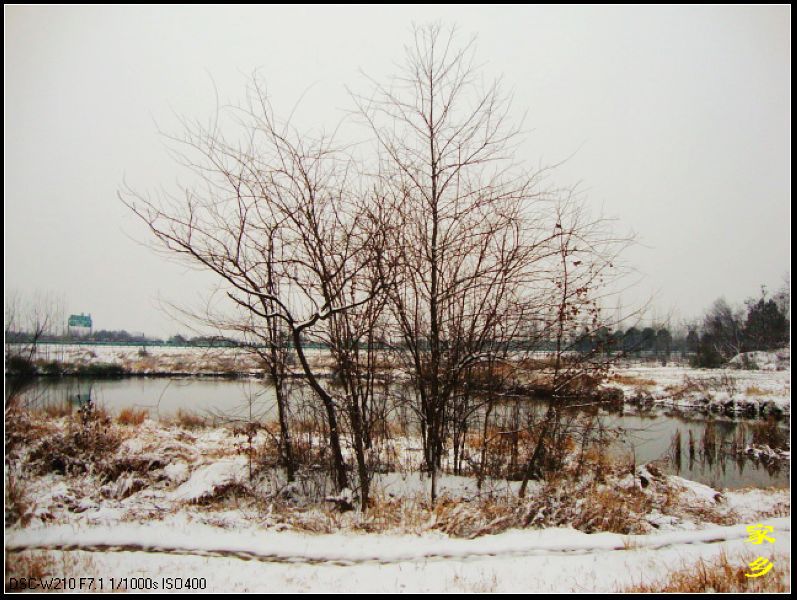 dsc02880-1.jpg