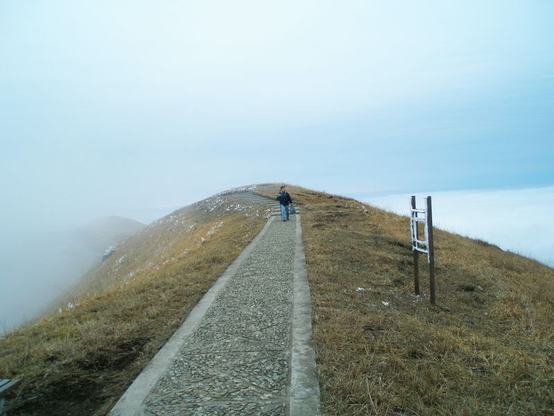 p2183192.jpg