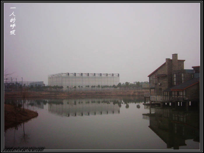 dsci0011.jpg