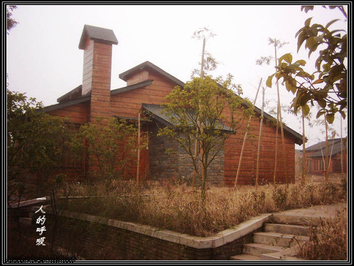 dsci0016.jpg