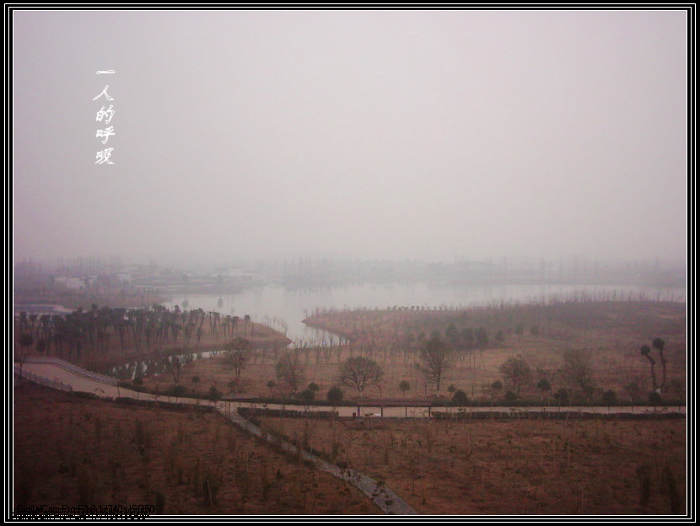 dsci0040.jpg