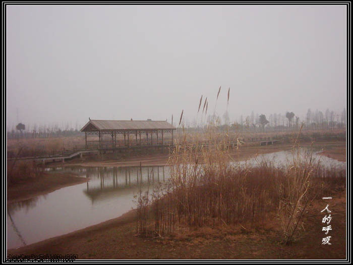 dsci0066.jpg
