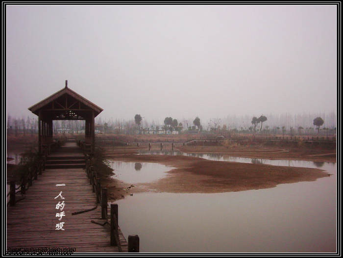 dsci0075.jpg