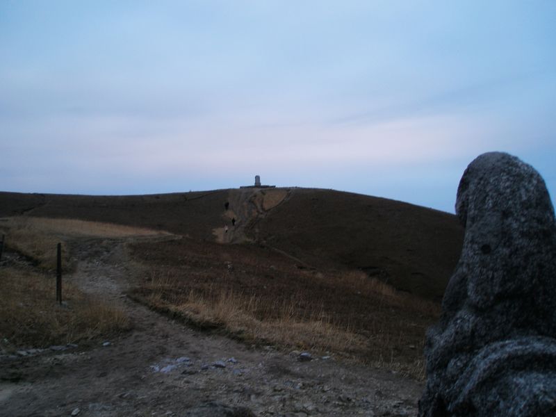 p2193248.jpg