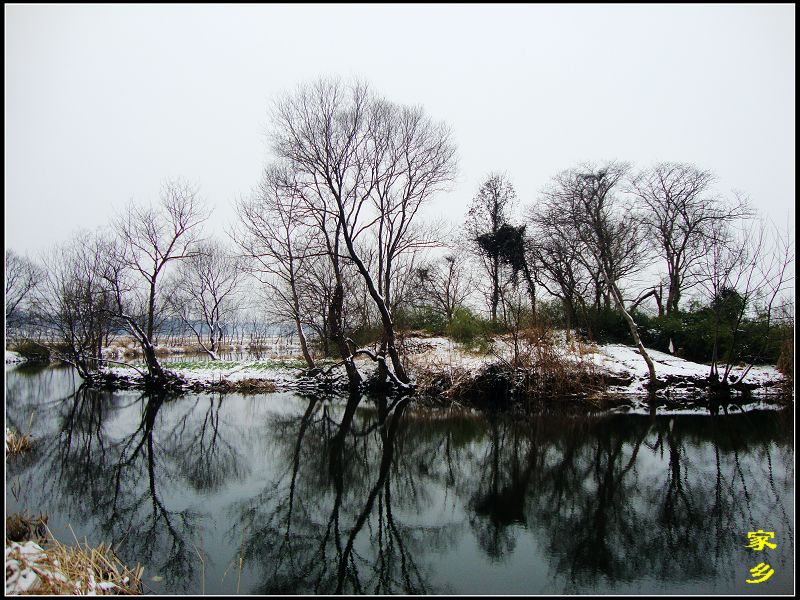 dsc02939-1.jpg