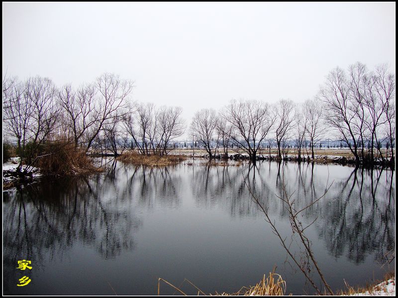 dsc02942-1.jpg