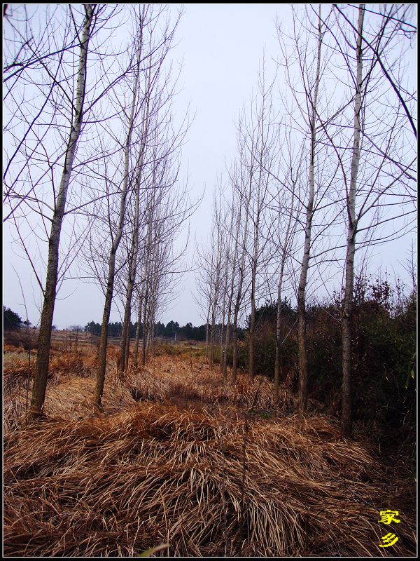 dsc02947-1.jpg