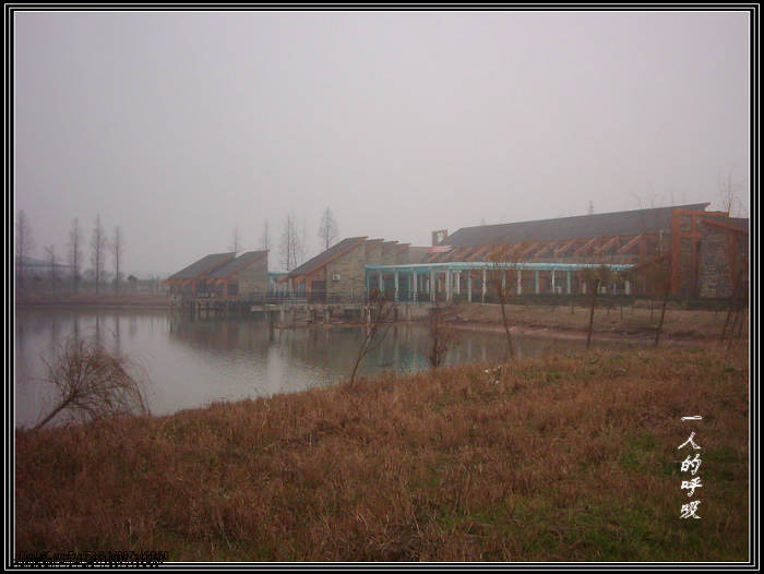 dsci0083.jpg