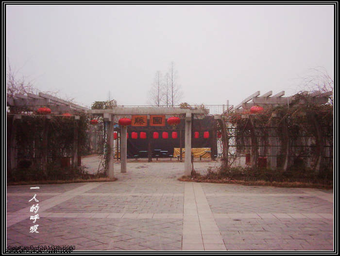 dsci0093.jpg