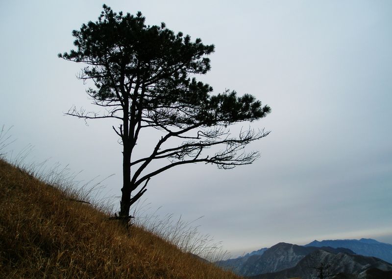 p2193255.jpg
