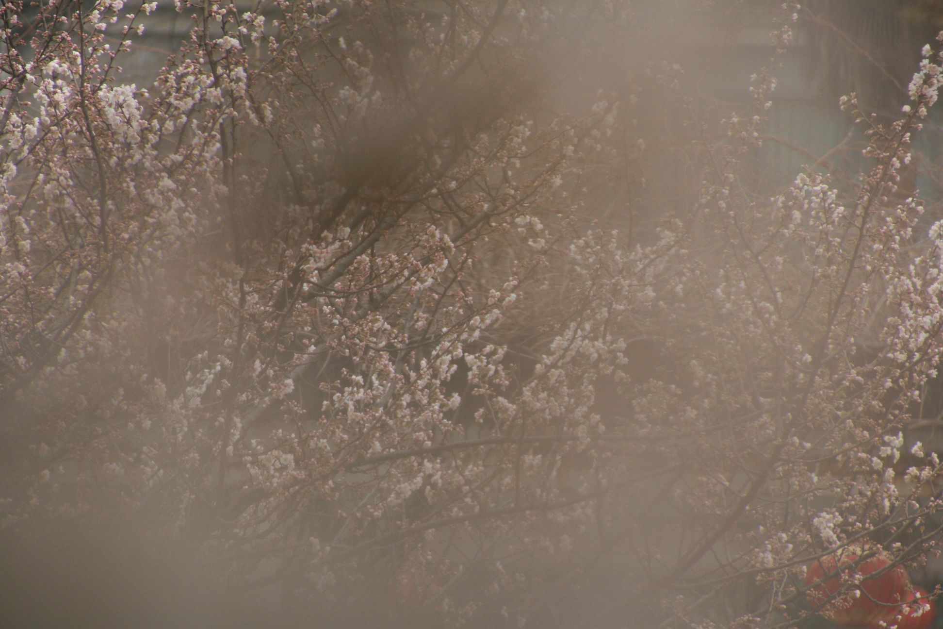 Ƭ 009.jpg