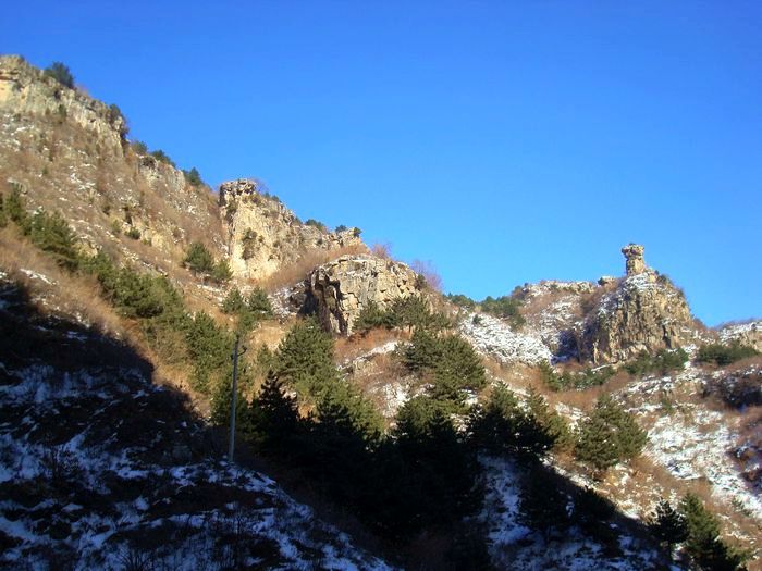 neo_img_dsc08238.jpg